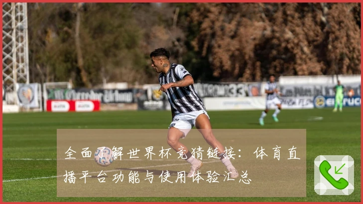 全面了解世界杯竞猜链接：体育直播平台功能与使用体验汇总