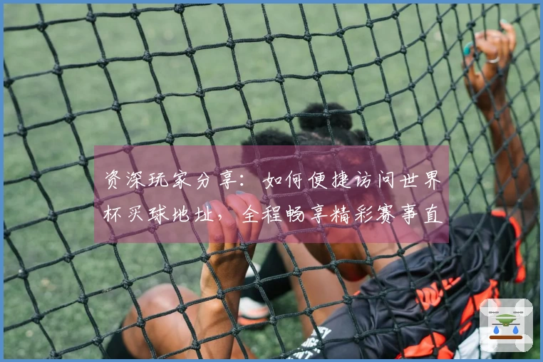 资深玩家分享：如何便捷访问世界杯买球地址，全程畅享精彩赛事直播