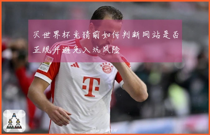 买世界杯竞猜前如何判断网站是否正规并避免入坑风险
