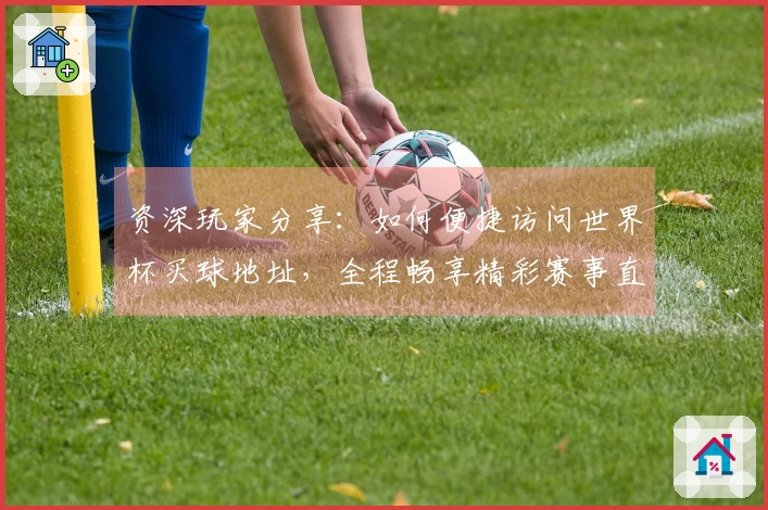 资深玩家分享：如何便捷访问世界杯买球地址，全程畅享精彩赛事直播