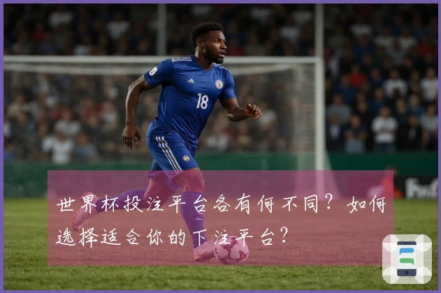 世界杯投注平台各有何不同？如何选择适合你的下注平台？