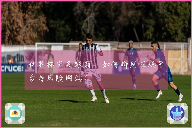 世界杯买足球前，如何辨别正规平台与风险网站？