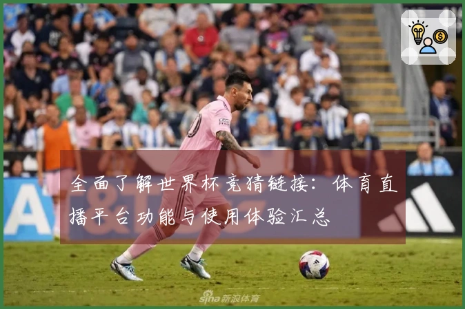 全面了解世界杯竞猜链接：体育直播平台功能与使用体验汇总
