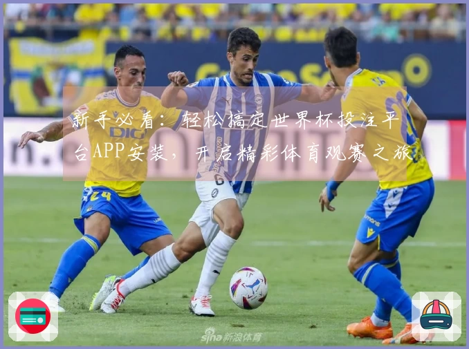 新手必看：轻松搞定世界杯投注平台APP安装，开启精彩体育观赛之旅