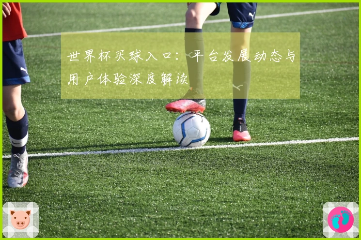 世界杯买球入口：平台发展动态与用户体验深度解读
